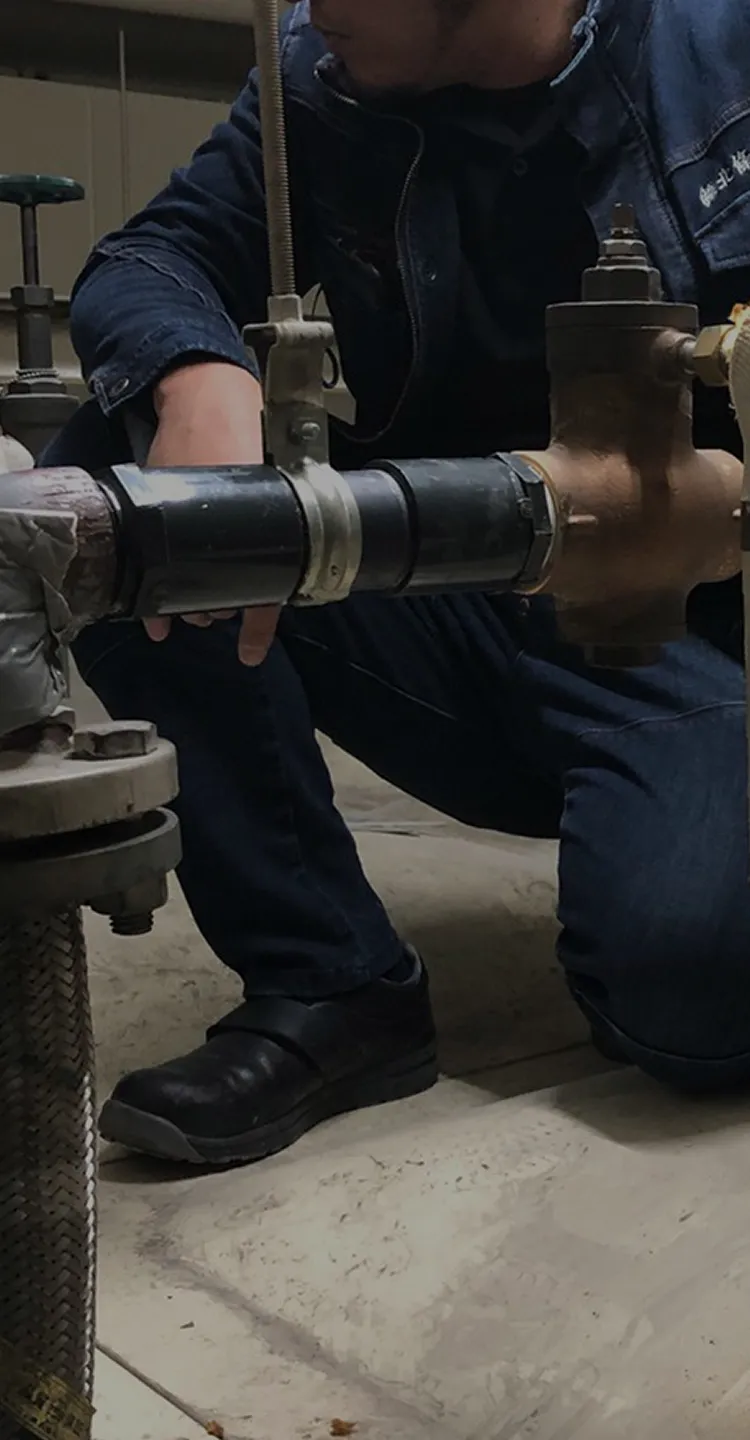 FV