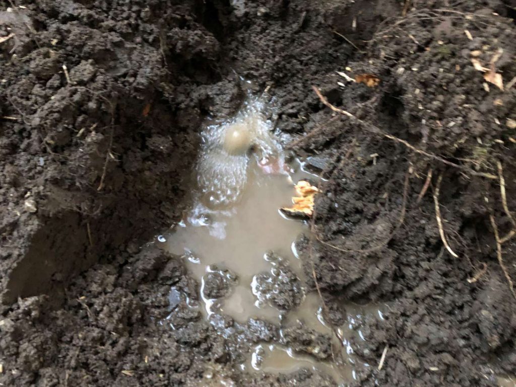 漏水発見！！！