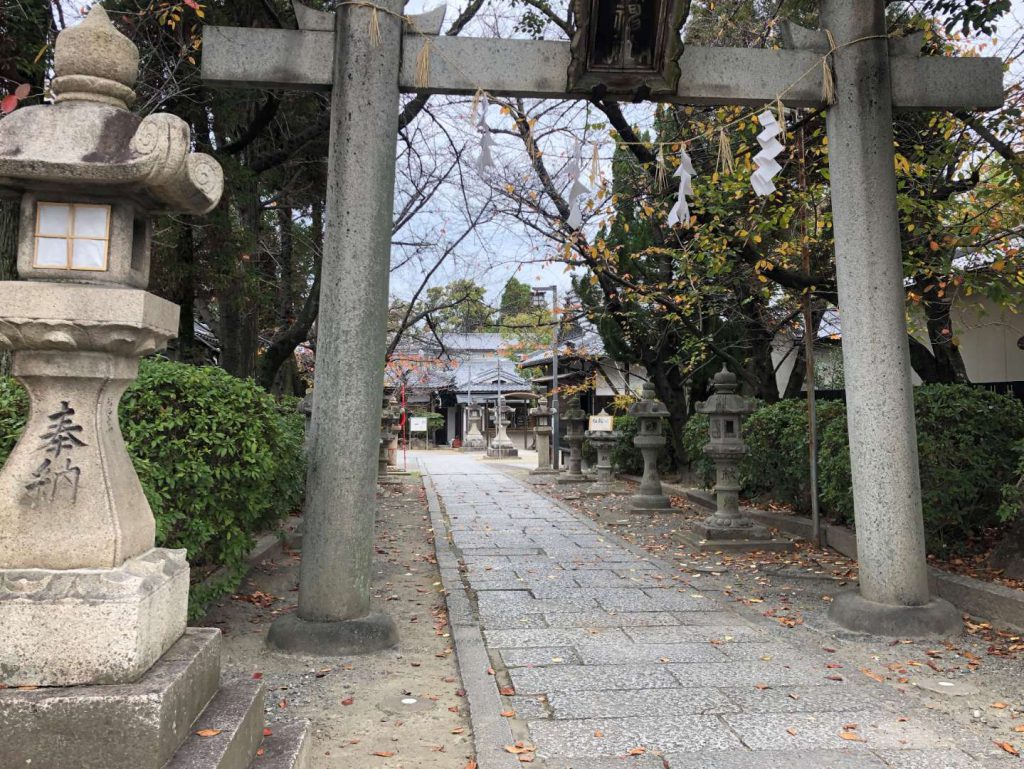 調査開始。