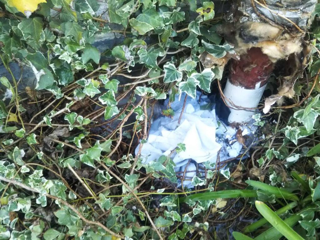 水が湧き出る配管の根本。