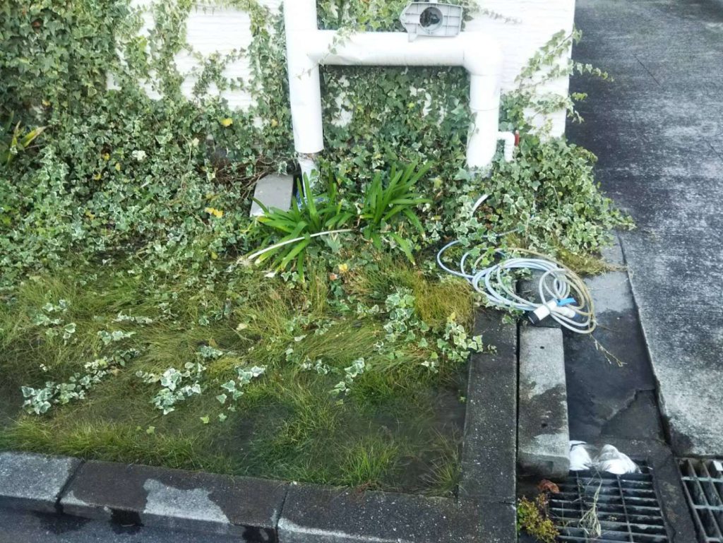 水が噴き出る音がする植栽。