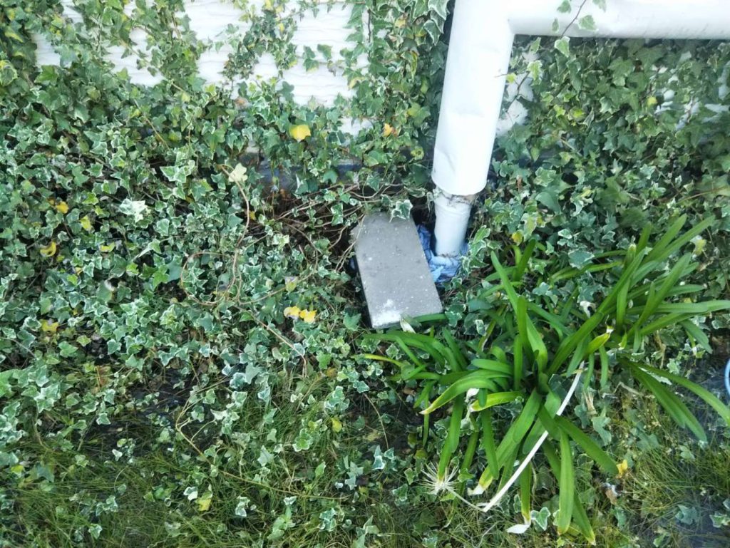 水が湧き出る配管。