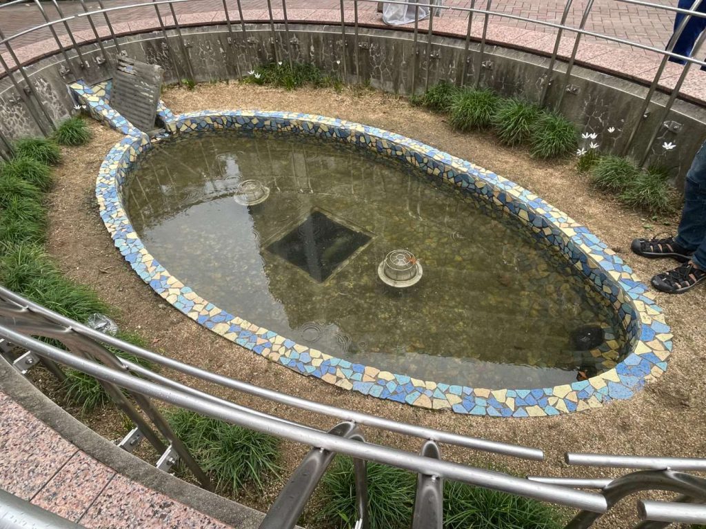池の検証結果は?