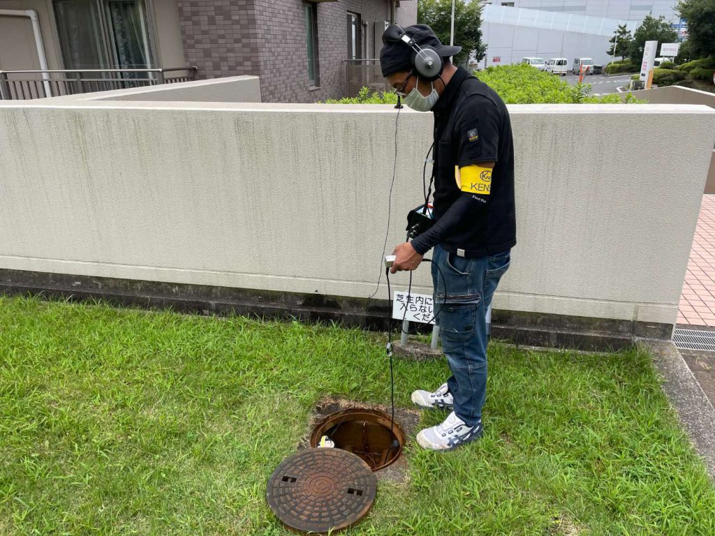 音聴調査