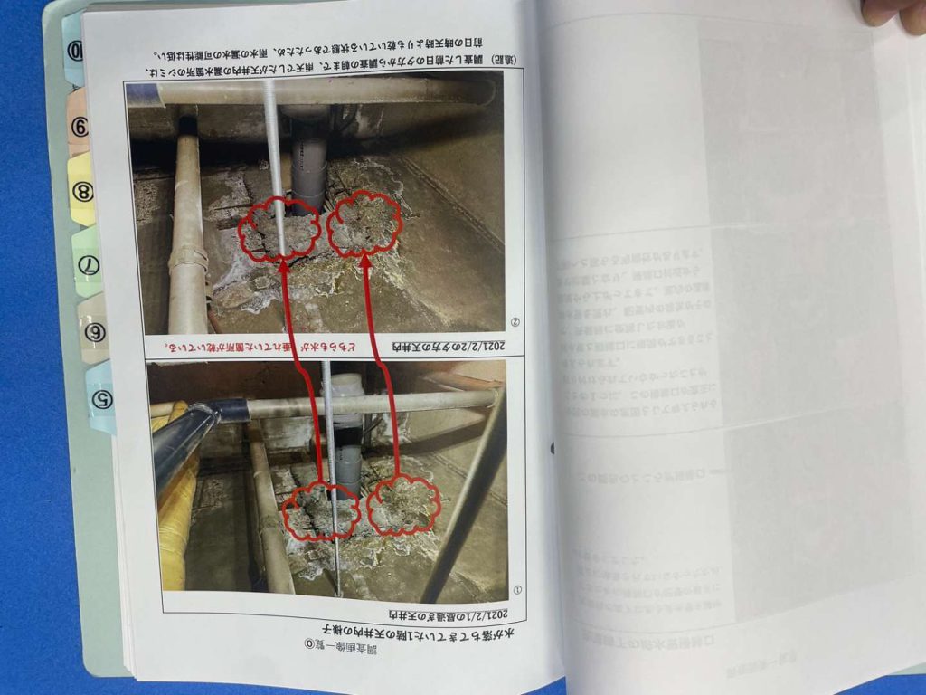 【報告書】の作成